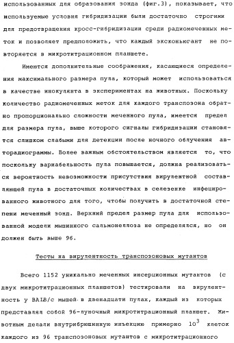 Vgc2 днк salmonella typhimurium, мутантная бактерия, обладающая пониженной способностью к адаптации к условиям окружающей среды, и способ ее получения (патент 2370541)