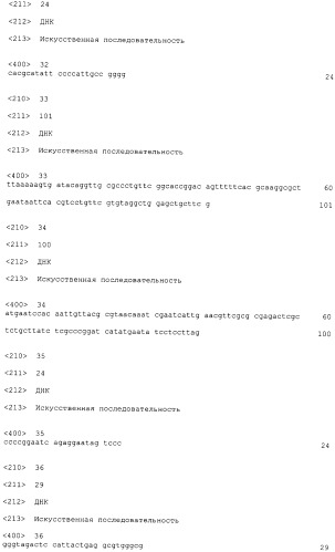 Бактерия escherichia coli для получения 1,2-пропандиола, способ ее получения, способ получения 1,2-пропандиола (патент 2407793)