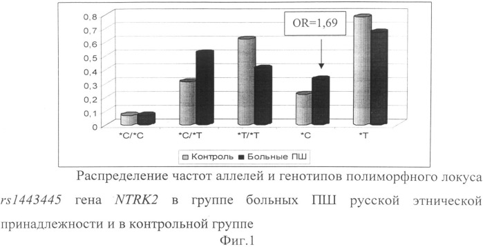 Способ прогнозирования риска развития параноидной шизофрении (патент 2506595)