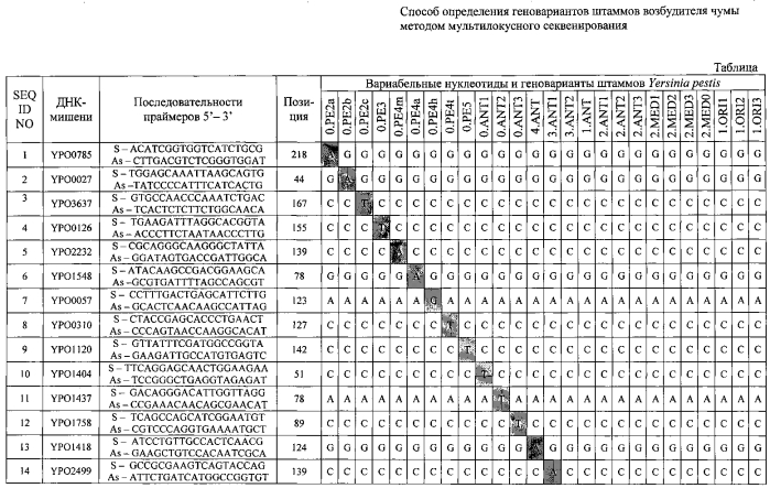 Способ определения геновариантов штаммов возбудителя чумы методом мультилокусного секвенирования (патент 2561469)