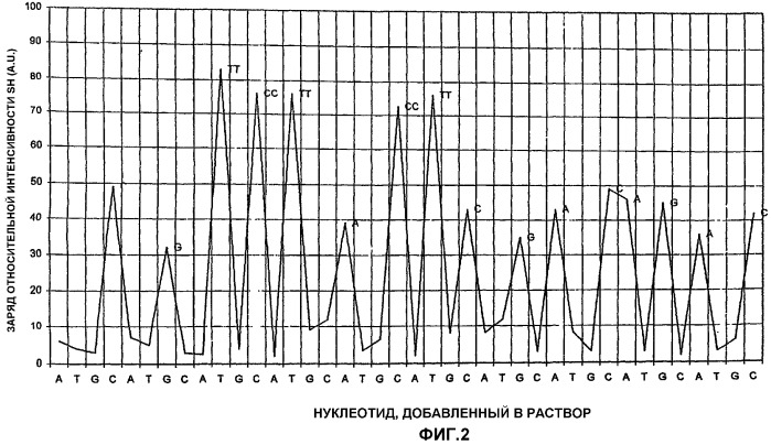 Способ секвенирования полинуклеотидов (патент 2291197)