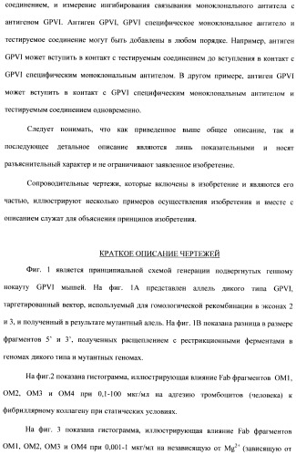 Антитела к гликопротеину vi и способы продуцирования и использования этих антител (патент 2407752)
