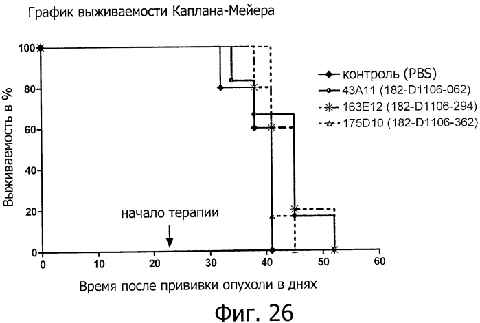 Моноклональные антитела против клаудина-18 для лечения рака (патент 2571923)