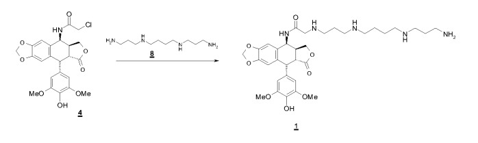 Способ синтеза противораковых производных (поли)аминоалкиламиноацетамида эпиподофиллотоксина (патент 2450009)