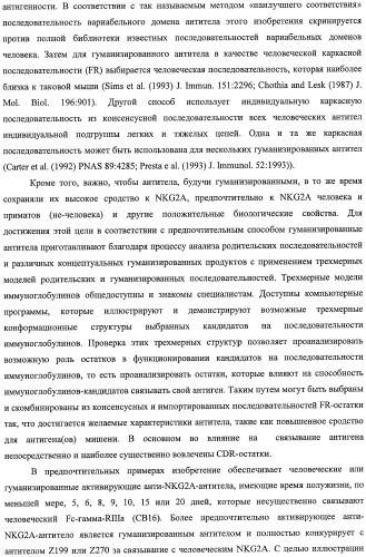 Моноклональные антитела против nkg2a (патент 2481356)