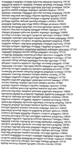 Модуляция экспрессии гентингтина (патент 2562861)