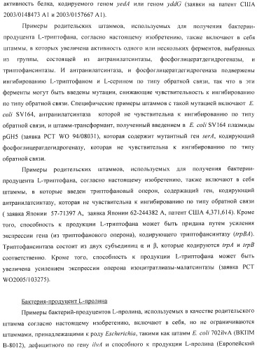 Способ получения l-аминокислоты с использованием бактерии, принадлежащей к роду escherichia (патент 2395579)