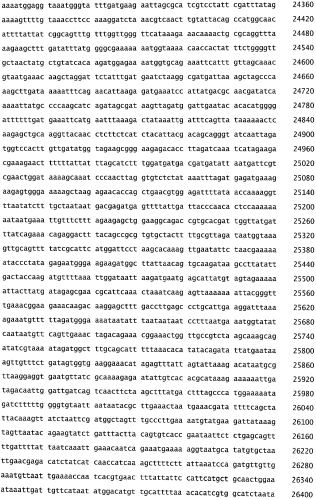 Бактериофаг, обладающий активностью против pseudomonas aeruginosa, белки бактериофага и способы их применения (патент 2580248)
