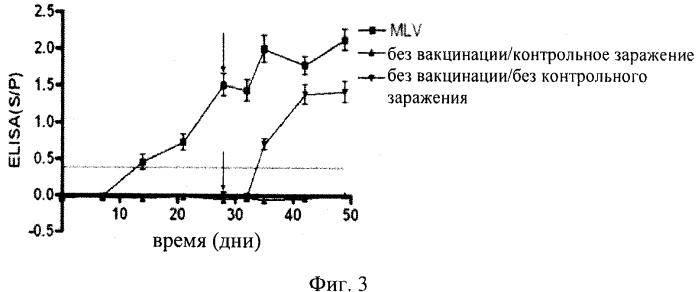 Вакцина против высокопатогенного репродуктивно-респираторного синдрома свиней (hp prrs) (патент 2561595)