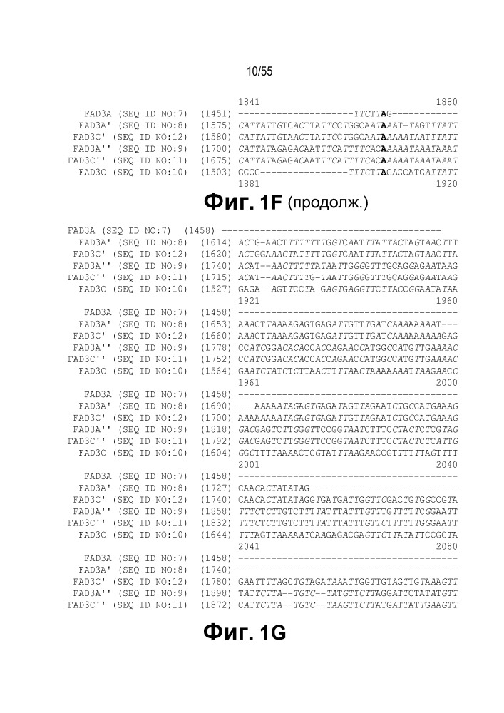 Локусы fad3 для выполнения операций и соответствующие связывающиеся со специфическими сайтами-мишенями белки, способные к вызову направленных разрывов (патент 2665811)