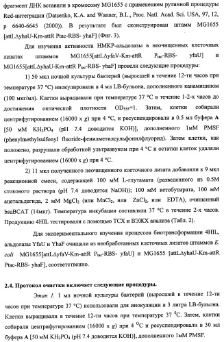 Способ производства 4-гидрокси-l-изолейцина или его соли (патент 2355767)