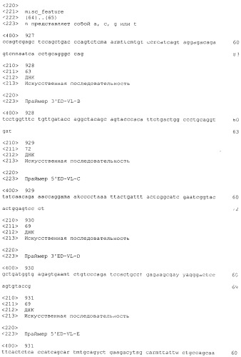 Pscaxcd3, cd19xcd3, c-metxcd3, эндосиалинxcd3, epcamxcd3, igf-1rxcd3 или fap-альфаxcd3 биспецифическое одноцепочечное антитело с межвидовой специфичностью (патент 2547600)