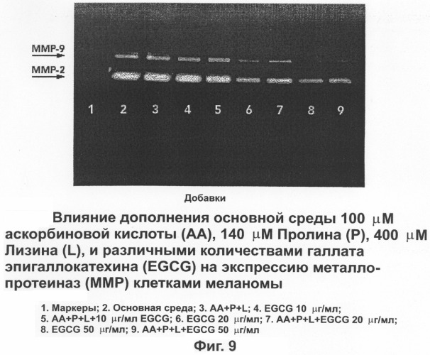 Обладающий питательными свойствами фармацевтический состав на основе полифенолов и его использование при лечении рака (патент 2301666)