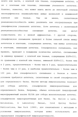 Scfv против egfrviii с улучшенной цитотоксичностью и выходом, иммунотоксины на их основе и способы их применения (патент 2317999)