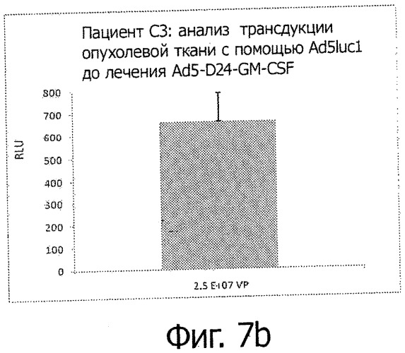 Аденовирусные векторы и способы и применения, связанные с ними (патент 2520823)