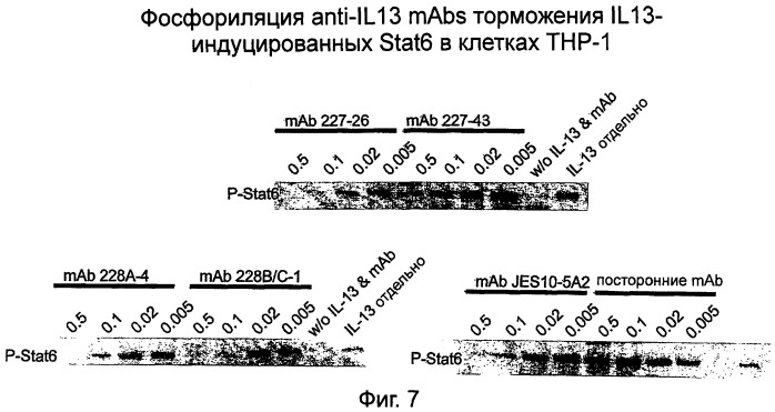 Новые анти-il 13 антитела и их использование (патент 2487887)