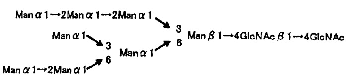 L-фукоза α1→6 специфичный лектин (патент 2524425)