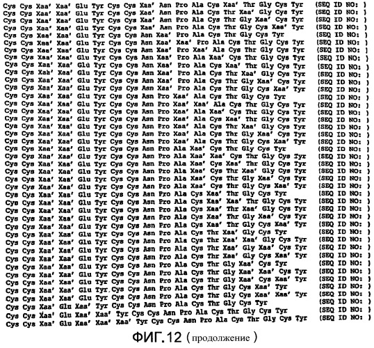 Полипептид для увеличения активности рецептора гуанилатциклазы, фармацевтическая композиция, способ лечения желудочно-кишечного расстройства у пациента, способ повышения активности рецептора гуанилатциклазы у пациента, способ лечения висцеральной боли, способ получения полипептида (варианты), изолированная молекула нуклеиновой кислоты, бактериальный вектор экспрессии и изолированная бактериальная клетка (патент 2433133)
