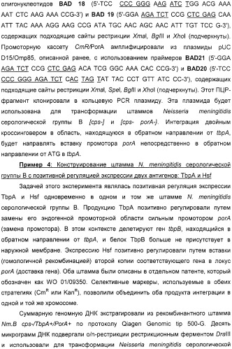 Нейссериальные вакцинные композиции, содержащие комбинацию антигенов (патент 2317106)