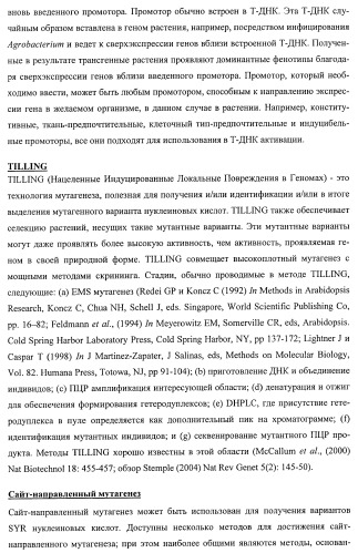 Растения, имеющие улучшенные характеристики роста, и способы их получения (патент 2463352)