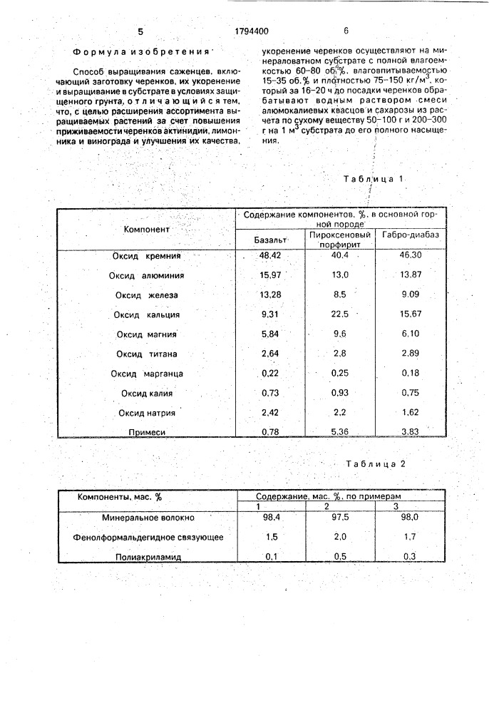 Способ выращивания саженцев (патент 1794400)