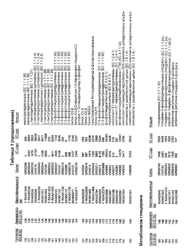 Гены corynebacterium glutamicum, кодирующие белки, участвующие в метаболизме углерода и продуцировании энергии (патент 2321634)