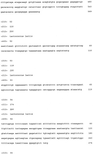 Промоторы lactococcus и их применение: (патент 2495129)