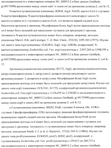 Способ получения аминокислот с использованием бактерии, принадлежащей к роду escherichia (патент 2396336)