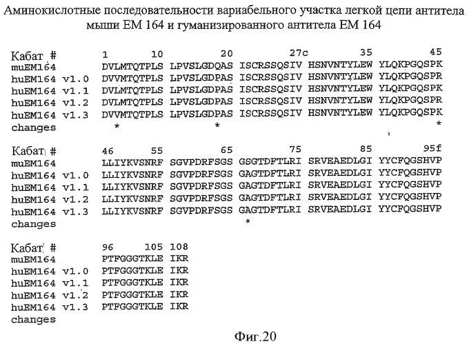 Антитела к рецептору igf-i (патент 2421465)