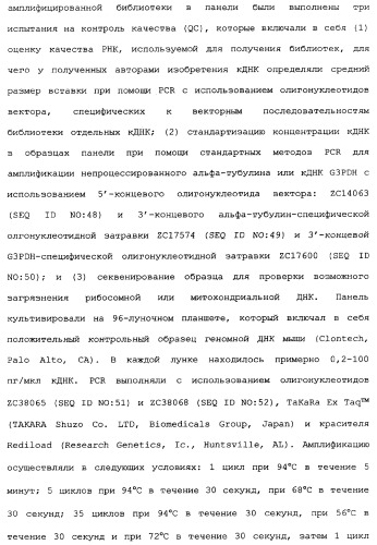 Новый лиганд рецептора цитокина zcytor17 (патент 2360923)