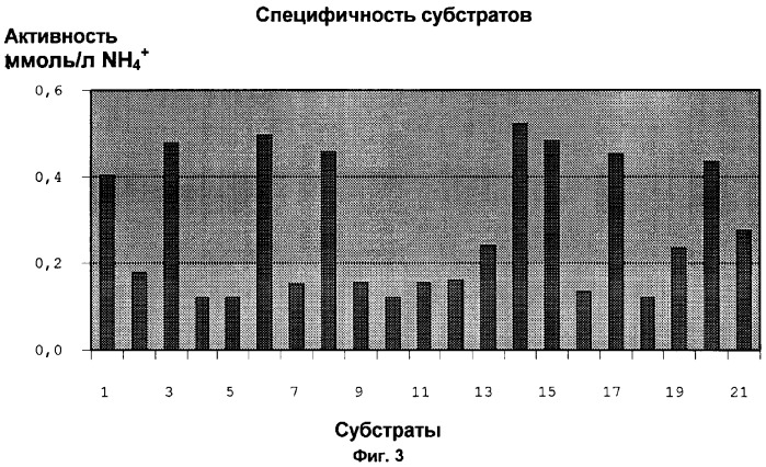 Нитрилаза из rhodococcus rhodochrous ncimb 11216 (патент 2283864)