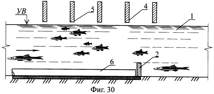 Рыбоход (варианты) (патент 2249653)