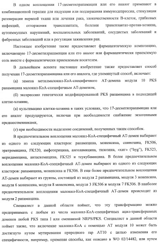 Получение поликетидов и других природных продуктов (патент 2430922)