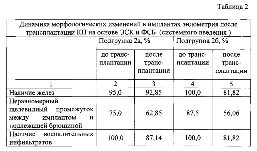 Способ оценки терапевтического воздействия эндометриальных стволовых клеток человека на поврежденный эндометрий в эксперименте. (патент 2593895)