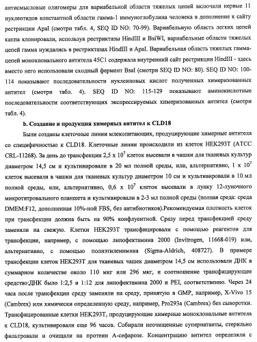 Моноклональные антитела к клаудину-18 для лечения рака (патент 2445319)