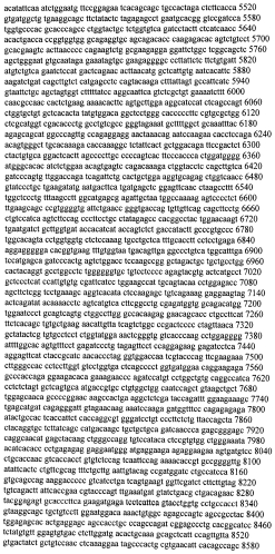 Модуляция экспрессии гентингтина (патент 2562861)