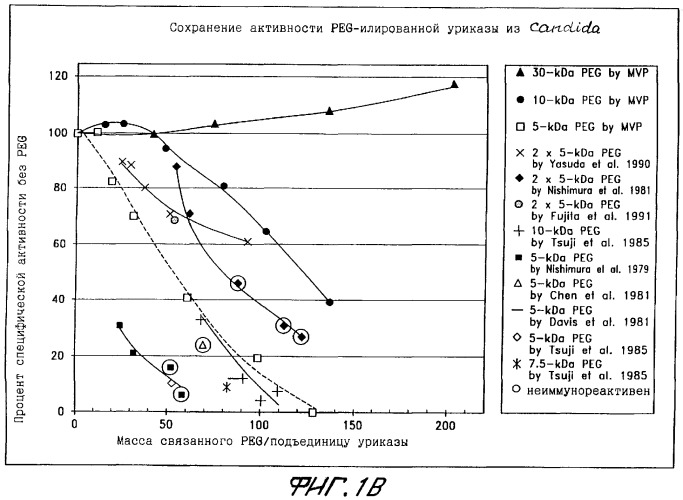 Конъюгаты peg-уратоксидазы, их использование, способ изолирования тетрамерной формы уриказы (патент 2349341)