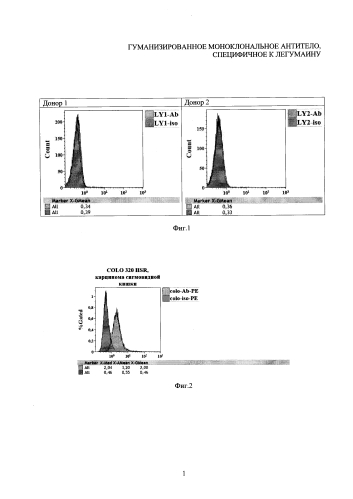 Гуманизированное моноклональное антитело, специфичное к легумаину (патент 2574203)