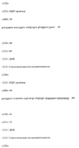 Модифицированное агонистическое антитело (патент 2295537)