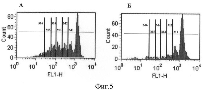 Способ получения популяции cd4+cd25+foxp3+ т-лимфоцитов человека ex vivo, способ лечения заболевания (патент 2391401)