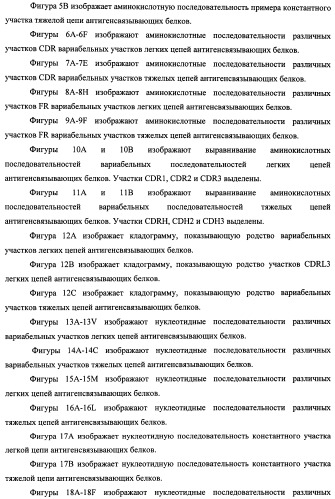 Белки, связывающие антиген фактор роста, подобный гепаринсвязывающему эпидермальному фактору роста (патент 2504551)