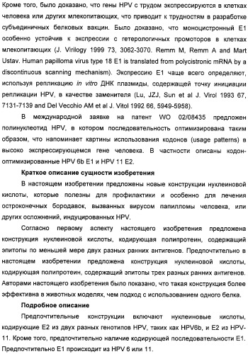 Полинуклеотидная последовательность, кодирующая полипептид вируса папилломы человека, ее применение, а также содержащие ее вектор и фармацевтическая композиция (патент 2354701)