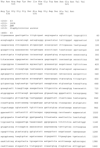 Стабильные иммуногенные композиции антигенов staphylococcus aureus (патент 2570730)