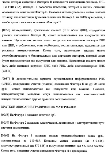 Иммуногенная композиция и способ разработки вакцины, основанной на участках связывания фактора н (патент 2364413)