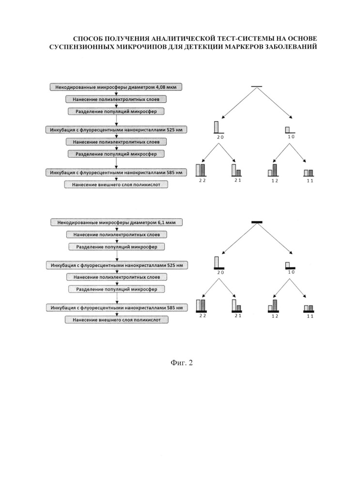Способ получения аналитической тест-системы на основе суспензионных микрочипов для детекции маркеров заболеваний (патент 2638787)
