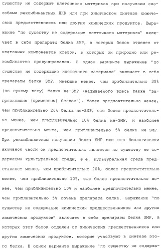 Гены corynebacterium glutamicum, кодирующие белки, участвующие в метаболизме углерода и продуцировании энергии (патент 2310686)