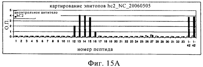 Гуманизированное антитело (патент 2538709)