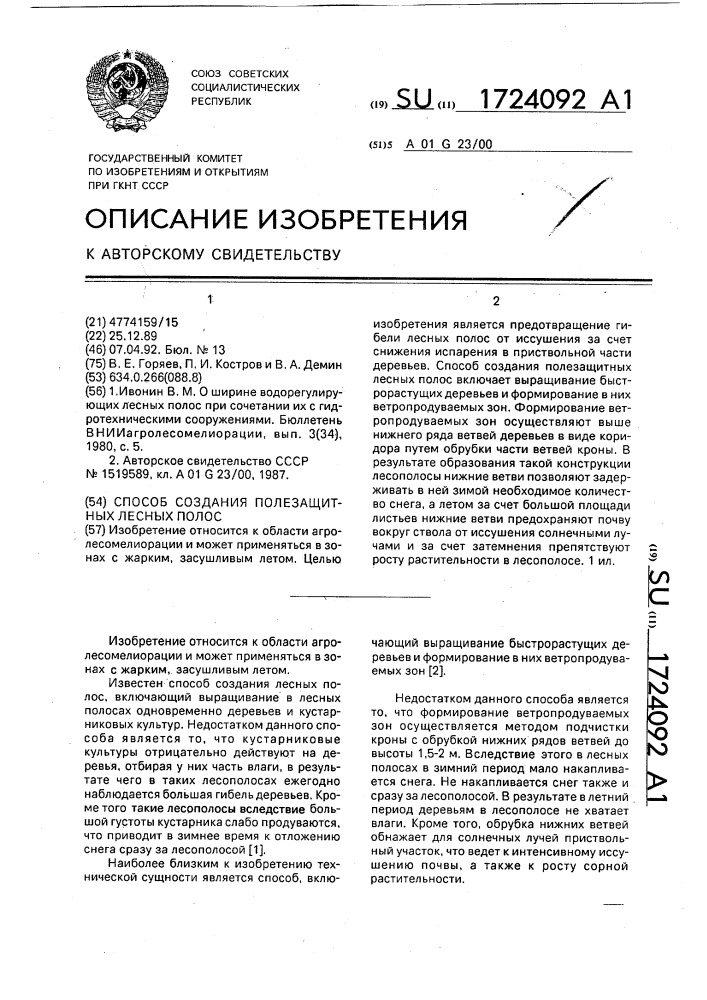 Способ создания полезащитных лесных полос (патент 1724092)