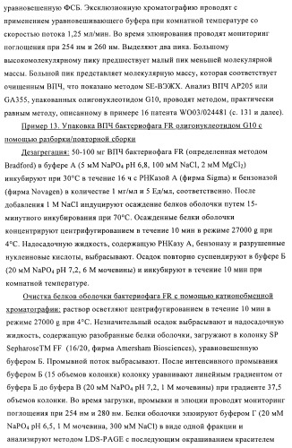 Способы упаковки олигонуклеотидов в вирусоподобные частицы рнк-содержащих бактериофагов (патент 2476595)