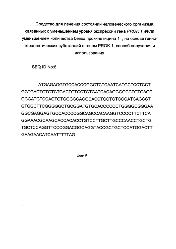 Средство для лечения состояний человеческого организма, связанных с уменьшением уровня экспрессии гена prok 1 и/или уменьшением количества белка прокинетицина 1 на основе генно-терапевтических субстанций с геном prok 1, способ получения и использования (патент 2662944)